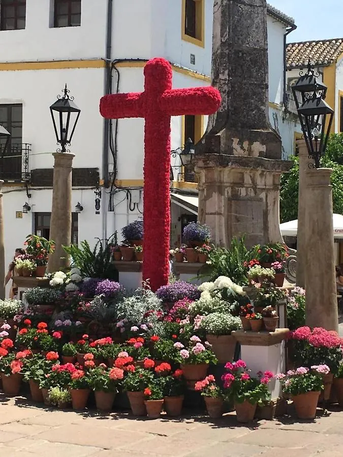 Ribera Del Quivir Apartamento Córdoba 0*,  España