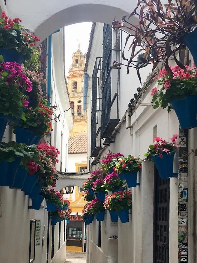 Ribera Del Quivir Apartamento Córdoba