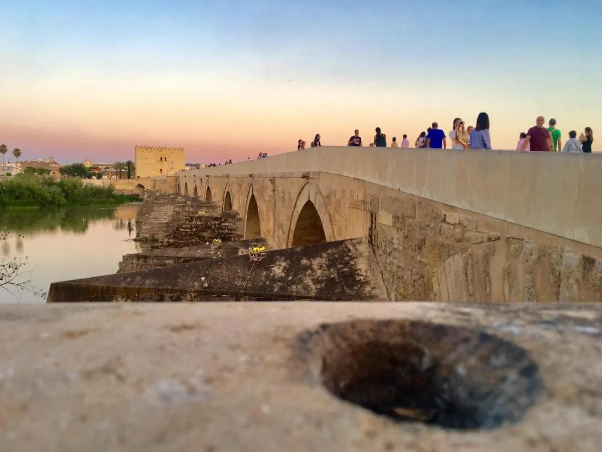 Ribera Del Quivir Apartamento Córdoba España