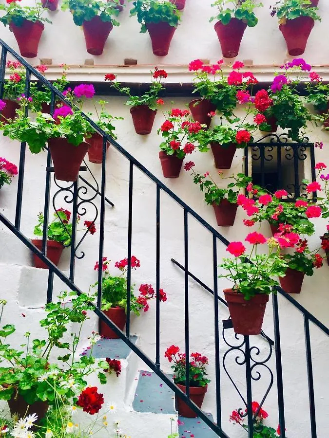 Ribera Del Quivir Apartamento Córdoba España